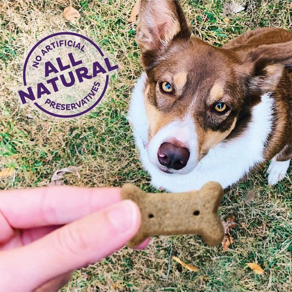 Show full view: Old Mother Hubbard by Wellness Classic Just Vegg'N Natural Oven-Baked Biscuits Dog Treats, Small, 1.5-kg bag slide 4 of 8