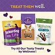 Show in main carousel: Old Mother Hubbard by Wellness Classic Liv'R'Crunch Natural Mini Oven-Baked Biscuits Dog Treats, 567-g bag slide 8 of 9
