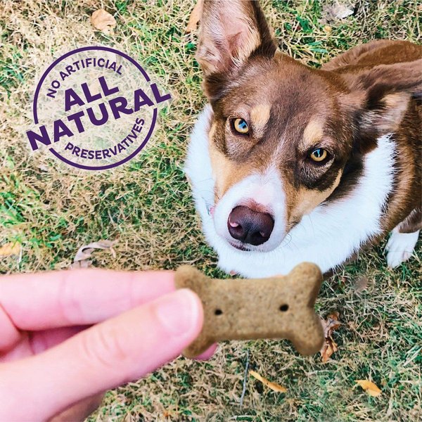 Show full view: Old Mother Hubbard by Wellness Classic Bac'N'Cheez Natural Small Oven-Baked Biscuits Dog Treats, 567-g bag slide 3 of 9