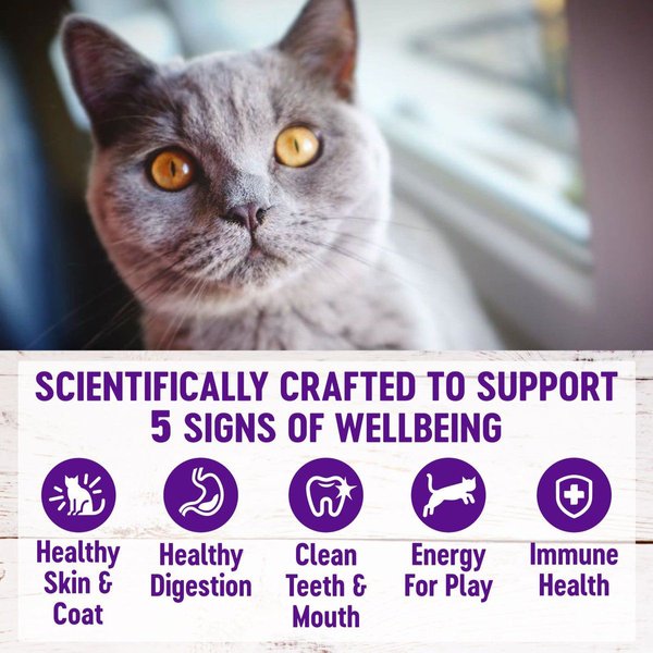 Show full view: Wellness Complete Health Chicken Indoor Dry Cat Food, 2.27-kg bag slide 4 of 10