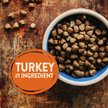 Show in main carousel: Wellness CORE Grain-Free Original Deboned Turkey, Turkey Meal & Chicken Meal Recipe Dry Dog Food, 5.44-kg bag slide 4 of 9