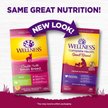 Show in main carousel: Wellness Small Breed Complete Health Adult Turkey & Oatmeal Recipe Natural Dry Dog Food, 5.44-kg bag slide 2 of 10