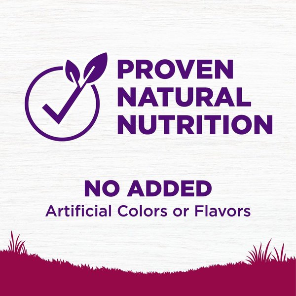 Show full view: Wellness Small Breed Complete Health Adult Turkey & Oatmeal Recipe Natural Dry Dog Food, 5.44-kg bag slide 5 of 10