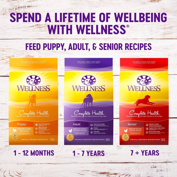 Show full view: Wellness Complete Health Senior Deboned Chicken & Barley Recipe Dry Dog Food, 11.8-kg bag slide 5 of 9