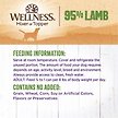 Show in main carousel: Wellness Ninety-Five Percent Lamb Grain-Free Canned Dog Food, 374-g can, case of 12 slide 5 of 8