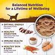 Show in main carousel: Wellness Complete Health Duck & Sweet Potato Formula Canned Dog Food, 354-g can, case of 12 slide 4 of 8