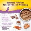 Show in main carousel: Wellness Complete Health Senior Formula Natural Canned Dog Food, 354-g can, case of 12 slide 4 of 8