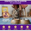Show in main carousel: Wellness Complete Health Adult Beef & Chicken Formula Grain-Free Canned Cat Food, 85-g can, case of 24 slide 8 of 18