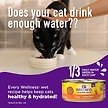 Show in main carousel: Wellness Complete Health Chicken & Herring Formula Grain-Free Canned Cat Food, 85-g can, case of 24 slide 4 of 16