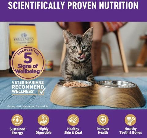 Show full view: Wellness Complete Health Turkey & Salmon Formula Grain-Free Natural Canned Cat Food, 85-g can, case of 24 slide 6 of 16
