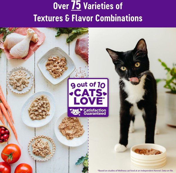 Show full view: Wellness Complete Health Turkey & Salmon Formula Grain-Free Natural Canned Cat Food, 354-g can, case of 12 slide 10 of 16