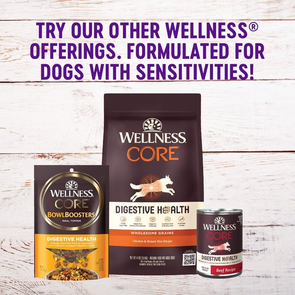 Show full view: Wellness Simple Limited Ingredient Diet Duck & Oatmeal Formula Dry Dog Food, 11.8-kg bag slide 7 of 10