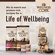 Show in main carousel: Wellness CORE Natural Grain-Free Turkey & Duck Pate Canned Cat Food, 85-g can, case of 12 slide 8 of 9