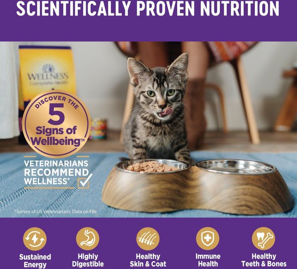 Show full view: Wellness Complete Health Natural Minced Salmon Dinner Grain-Free Canned Cat Food, 85-g can, case of 24 slide 5 of 10