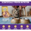 Show in main carousel: Wellness Complete Health Natural Minced Salmon Dinner Grain-Free Canned Cat Food, 85-g can, case of 24 slide 5 of 10
