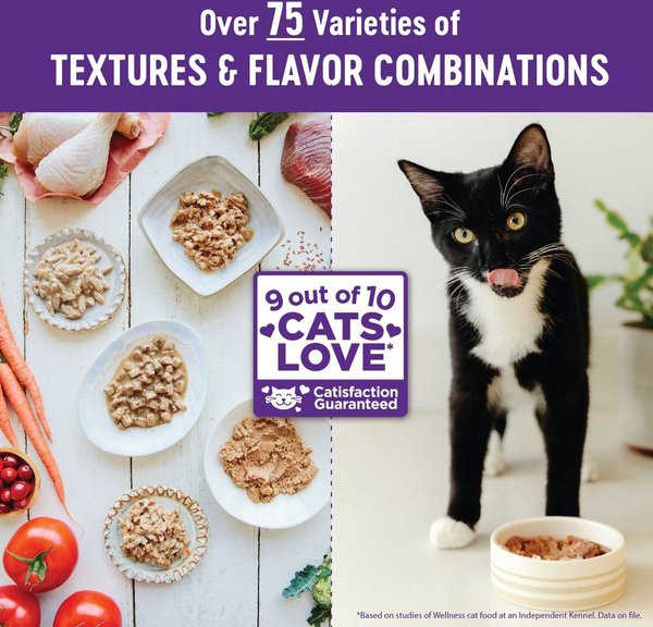 Show full view: Wellness Complete Health Sliced Salmon Entree Grain-Free Canned Cat Food, 85-g can, case of 24 slide 7 of 10