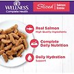 Show in main carousel: Wellness Complete Health Sliced Salmon Entree Grain-Free Canned Cat Food, 156-g can, case of 24 slide 3 of 10