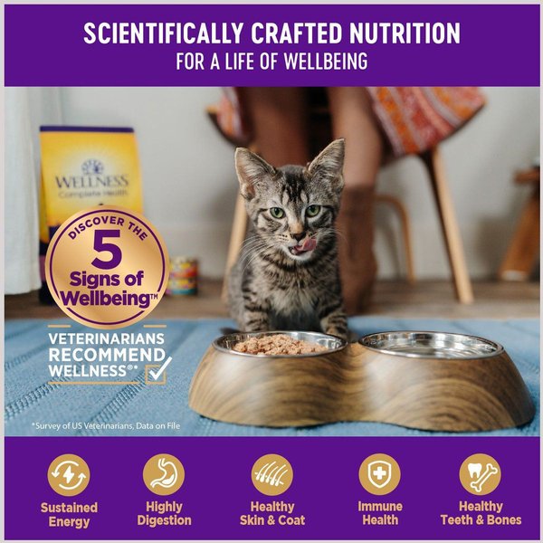 Show full view: Wellness Complete Health Minced Tuna Dinner Grain-Free Canned Cat Food, 85-g can, case of 24 slide 4 of 9