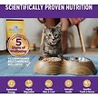 Show in main carousel: Wellness Complete Health Minced Turkey & Salmon Entree Grain-Free Canned Cat Food, 156-g can, case of 24 slide 5 of 10
