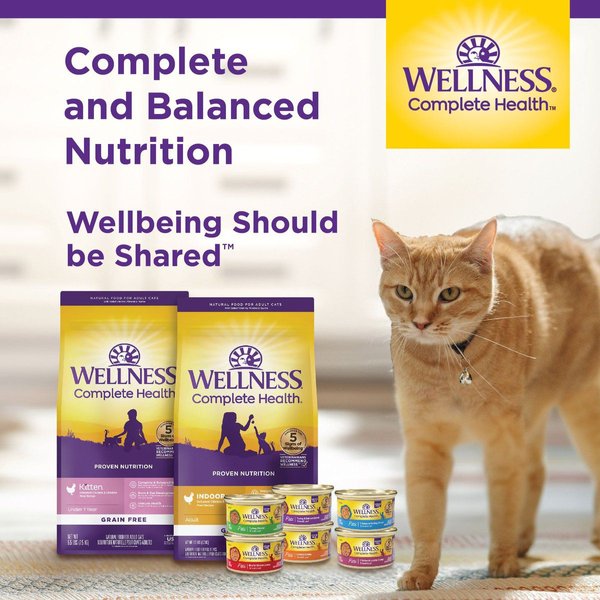 Show full view: Wellness Complete Health Minced Turkey Entree Grain-Free Canned Cat Food, 85-g can, case of 24 slide 8 of 10