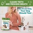 Show in main carousel: WHIMZEES by Wellness Stix Dental Chews Natural Grain-Free Dental Dog Treats, Medium, 14 count slide 6 of 10