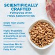 Show in main carousel: Wellness Simple Limited Ingredient Diet Grain-Free Healthy Weight Salmon & Peas Formula Dry Dog Food, 10.9-kg bag slide 3 of 10