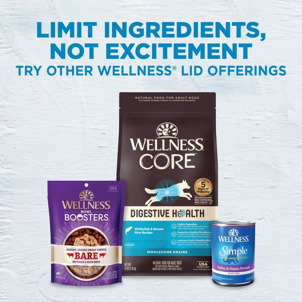 Show full view: Wellness Simple Limited Ingredient Diet Grain-Free Healthy Weight Salmon & Peas Formula Dry Dog Food, 10.9-kg bag slide 7 of 10
