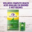Show in main carousel: Wellness Grain-Free Complete Health Adult Lamb & Lamb Meal Recipe Dry Dog Food, 10-kg bag slide 5 of 9