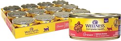 Wellness Complete Health Natural Grain-Free Gravies Salmon Entree Canned Cat Food, 156-g can, case of 12