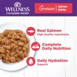 Show in main carousel: Wellness Complete Health Natural Grain-Free Gravies Salmon Entree Canned Cat Food, 156-g can, case of 12 slide 3 of 10