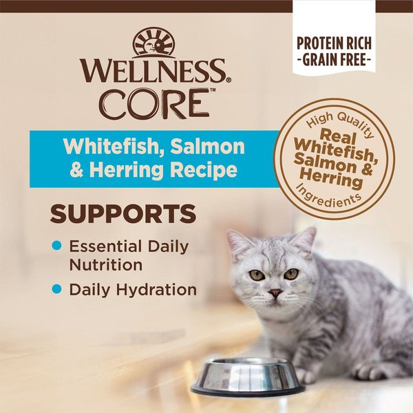 Show full view: Wellness CORE Grain-Free Salmon, Whitefish & Herring Pate Canned Kitten & Cat Food, 85-g can, case of 12 slide 3 of 10