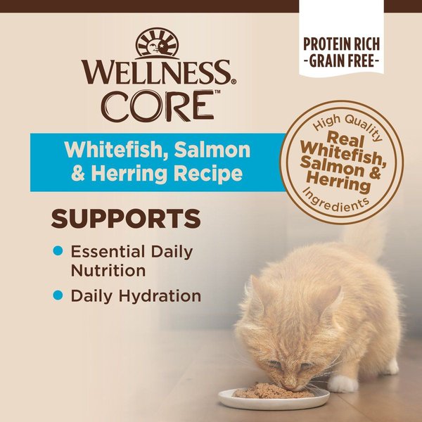 Show full view: Wellness CORE Grain-Free Salmon, Whitefish & Herring Pate Canned Kitten & Cat Food, 156-g can, case of 24 slide 3 of 10
