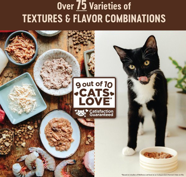 Show full view: Wellness CORE Grain-Free Salmon, Whitefish & Herring Pate Canned Kitten & Cat Food, 156-g can, case of 24 slide 7 of 10