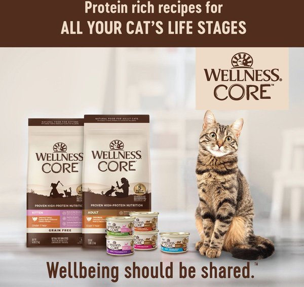 Show full view: Wellness CORE Grain-Free Salmon, Whitefish & Herring Pate Canned Kitten & Cat Food, 156-g can, case of 24 slide 8 of 10