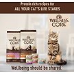 Show in main carousel: Wellness CORE Grain-Free Salmon, Whitefish & Herring Pate Canned Kitten & Cat Food, 156-g can, case of 24 slide 8 of 10
