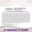 Show in main carousel: Wellness Complete Health Natural Grain-Free Salmon & Herring Dry Cat Food, 5.2-kg bag slide 6 of 10