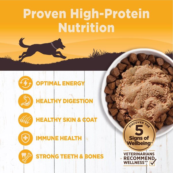 Show full view: Wellness CORE 95% Grain-Free Chicken & Broccoli Canned Dog Food, 354-g can, case of 12 slide 3 of 8