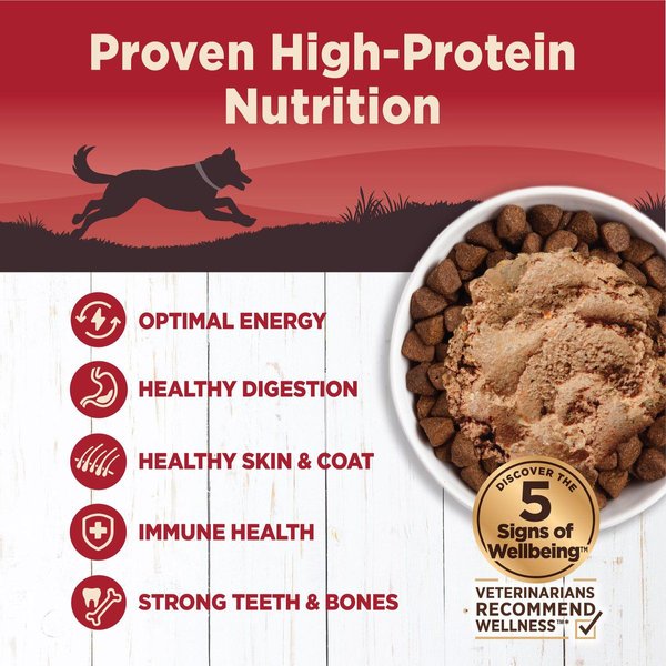 Show full view: Wellness CORE 95% Grain-Free Beef & Carrots Canned Dog Food, 354-g can, case of 12 slide 3 of 7