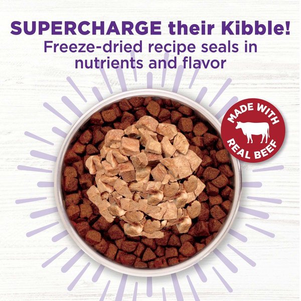 Show full view: Wellness CORE Bowl Boosters Bare Beef Freeze-Dried Dog Food Mixer or Topper, 113-g bag slide 3 of 8