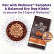 Show in main carousel: Wellness CORE Bowl Boosters Bare Beef Freeze-Dried Dog Food Mixer or Topper, 113-g bag slide 5 of 8