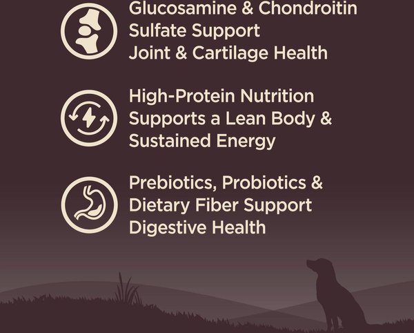 Show full view: Wellness CORE Grain-Free Senior Deboned Turkey Recipe Dry Dog Food, 10.88-kg bag slide 3 of 10