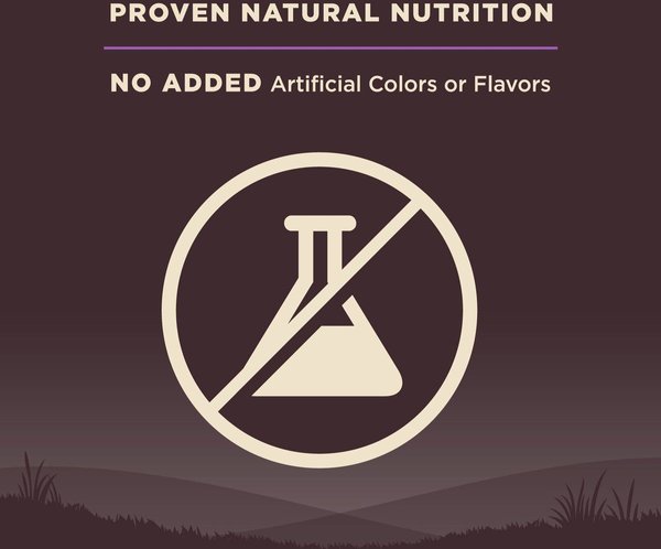 Show full view: Wellness CORE Grain-Free Senior Deboned Turkey Recipe Dry Dog Food, 10.88-kg bag slide 6 of 10