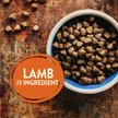 Show in main carousel: Wellness CORE Grain-Free Lamb Recipe Dry Dog Food, 10-kg bag slide 4 of 9
