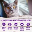 Show in main carousel: Wellness Complete Health Grain-Free Indoor Healthy Weight Chicken Recipe Natural Dry Cat Food, 5.2-kg bag slide 4 of 10
