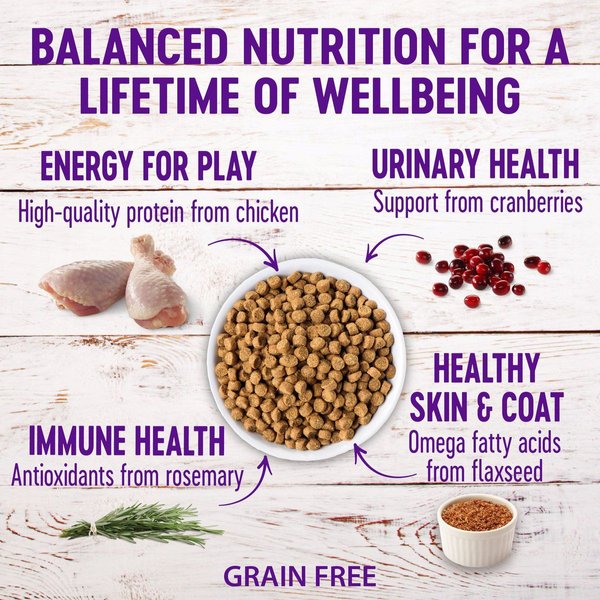 Show full view: Wellness Complete Health Chicken & Deboned Chicken Grain-Free Senior Dry Cat Food, 2.5-kg bag slide 3 of 10