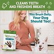 Show in main carousel: WHIMZEES by Wellness Brushzees Dental Chews Natural Grain-Free Dental Dog Treats, Medium, 7 count slide 6 of 10