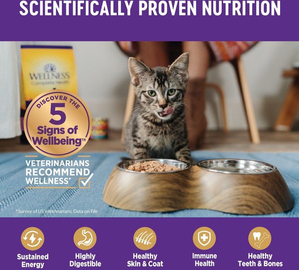 Show full view: Wellness Complete Health Chicken & Turkey Pate Favorites Canned Cat Food, 85-g can, case of 24 slide 6 of 16
