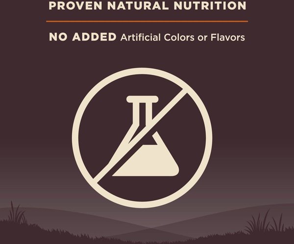 Show full view: Wellness CORE Wholesome Grains Original Recipe High Protein Dry Dog Food, 10.9-kg bag slide 6 of 10