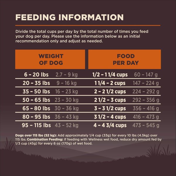 Show full view: Wellness CORE Wholesome Grains Original Recipe High Protein Dry Dog Food, 10.9-kg bag slide 9 of 10