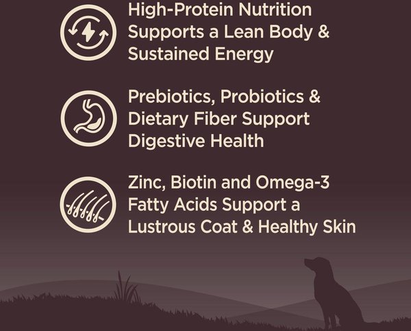 Show full view: Wellness CORE Wholesome Grains Ocean Recipe High Protein Dry Dog Food, 10-kg bag slide 3 of 10